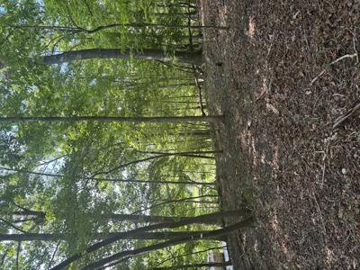 Lot 4 Skyway DR