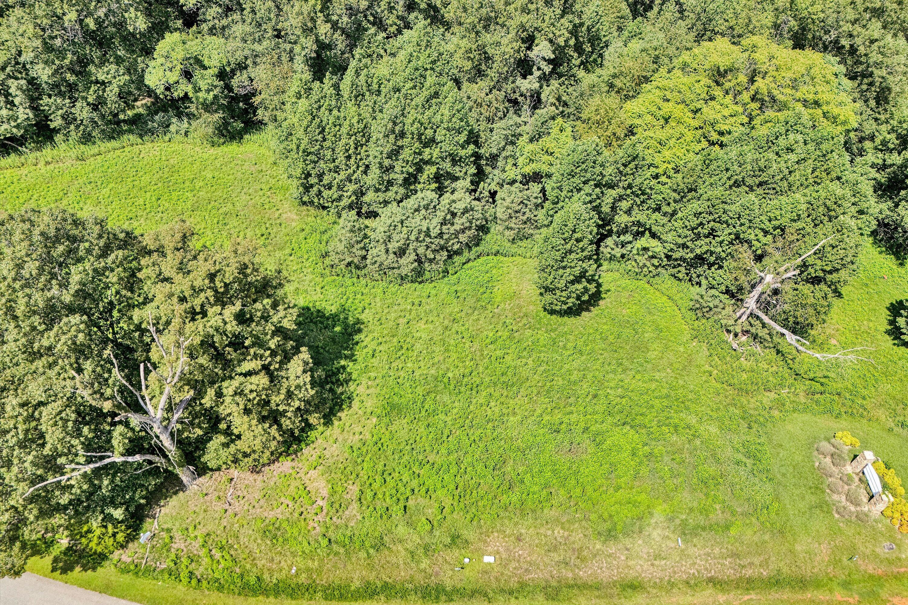 Image 3: 03-Lot 6 Aerial View
