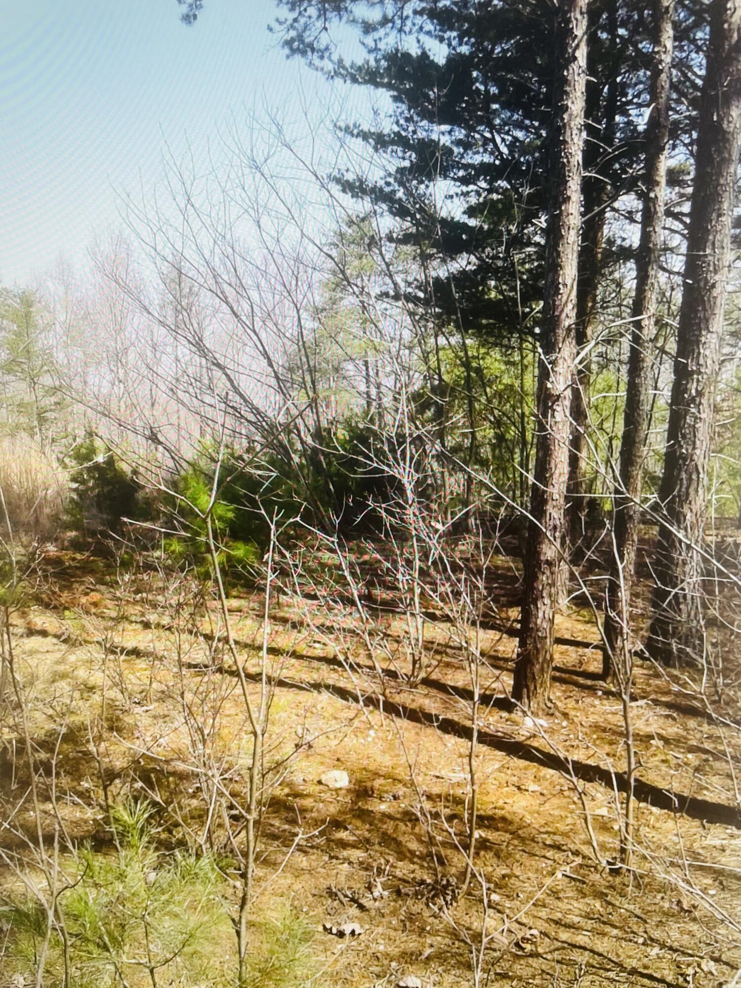 Image 3: Lot 27 Garrison Ridge