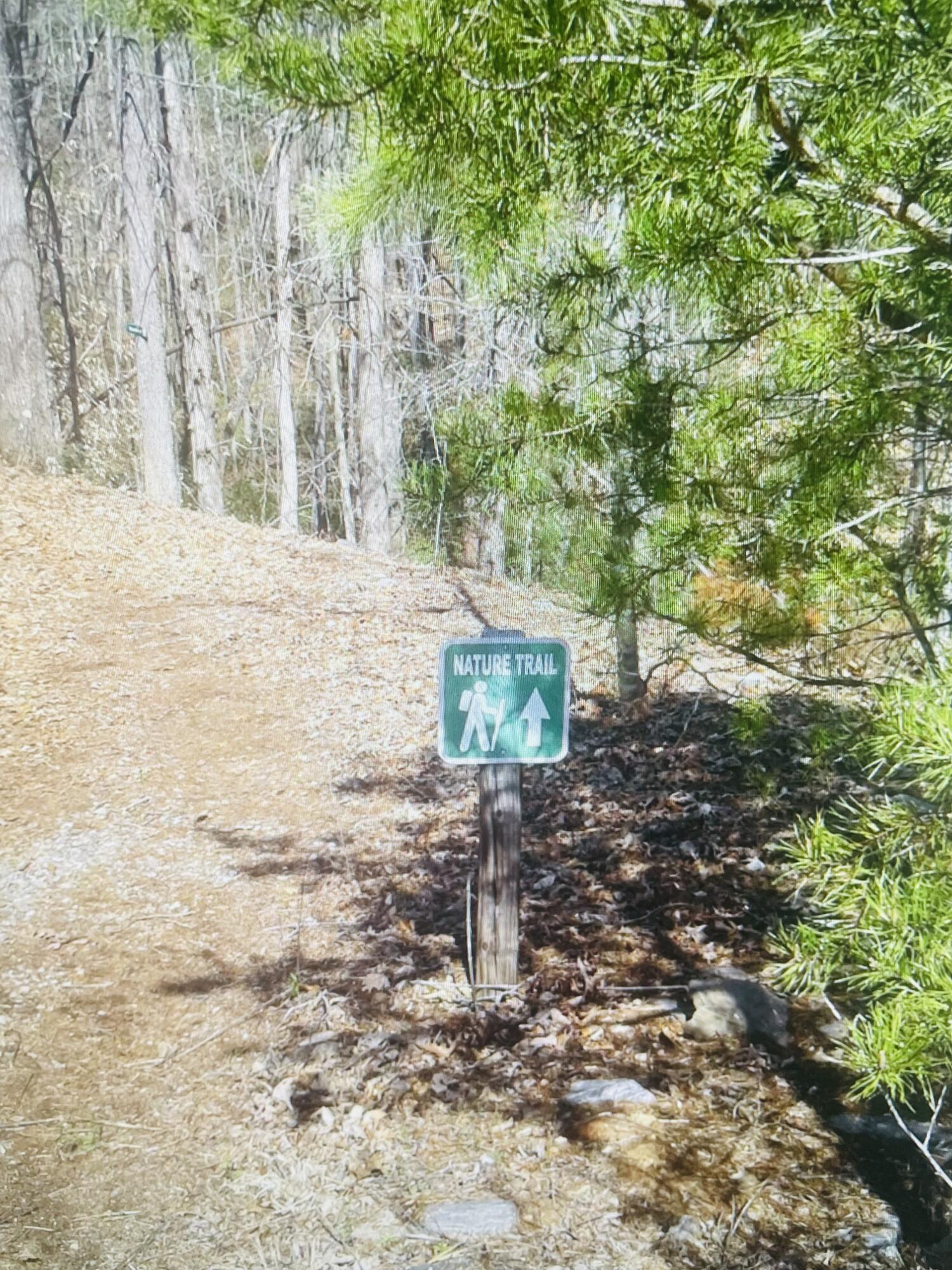 Image 4: trails EPS