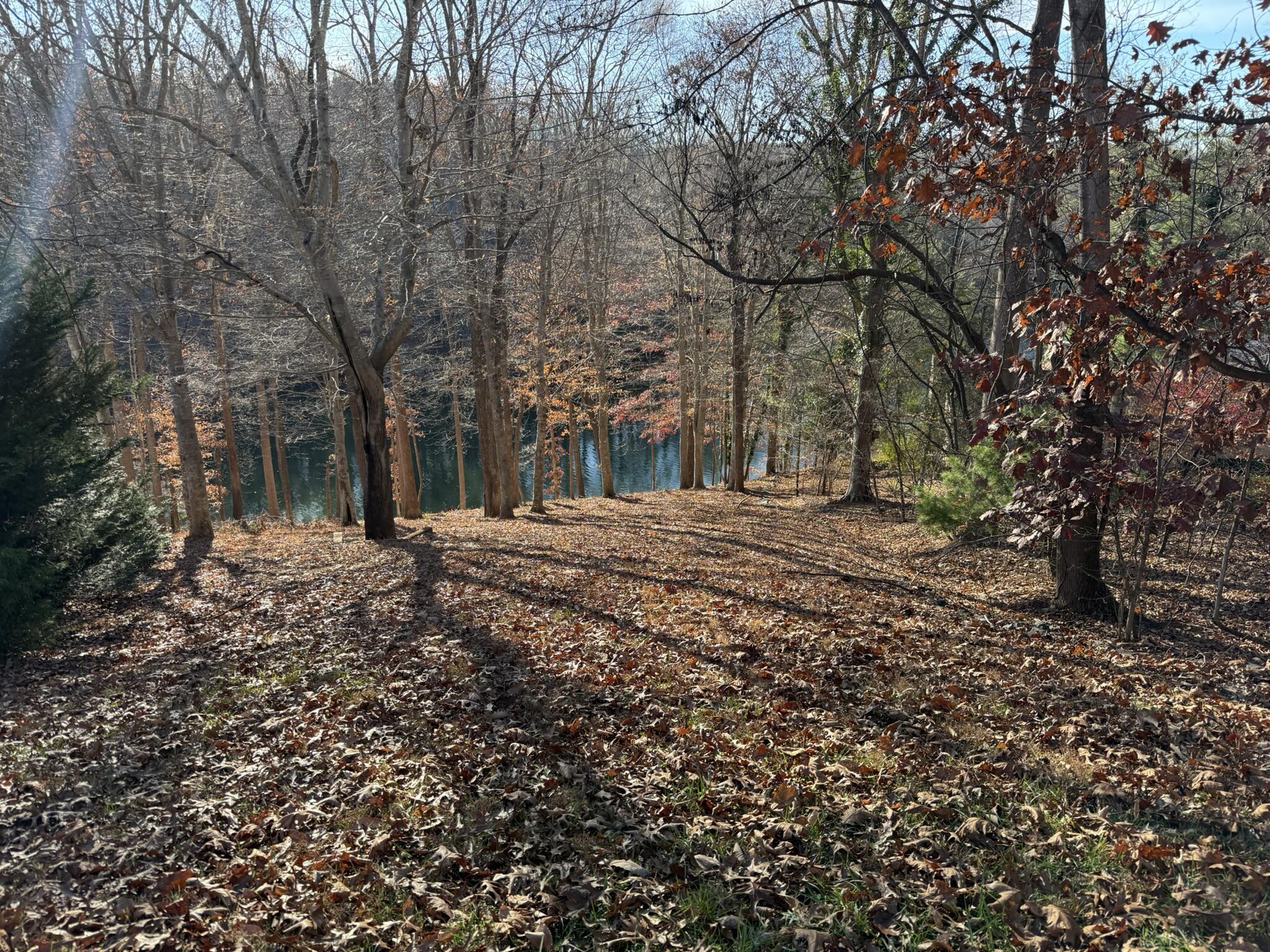 Image 3: IMG_3046