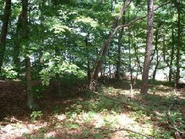 LOT 47 POPLAR DR