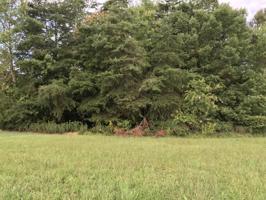 Lot 52 Island View DR