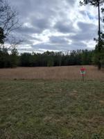 Lot 173 Hidden Cove LN