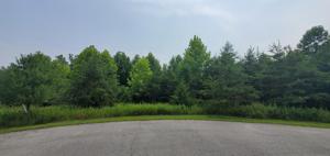 Lot 11 Golf View CT