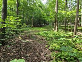 Lot 61 Lakepointe Cove CT