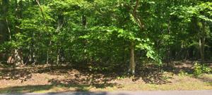 Lot 43 Long Pine CT