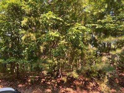 Lot 105 Mountwood DR