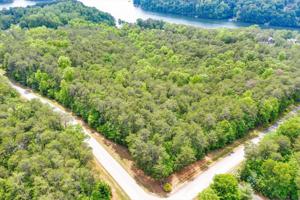 Lot 10 Island Point DR