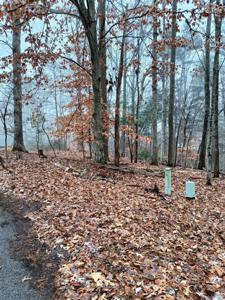 59 Cherrywood LN