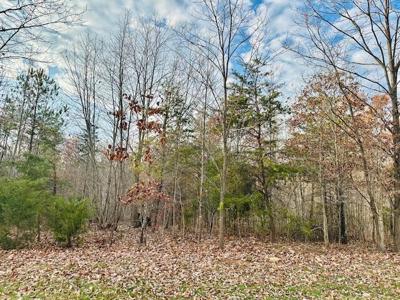 lot 4 Waterford DR