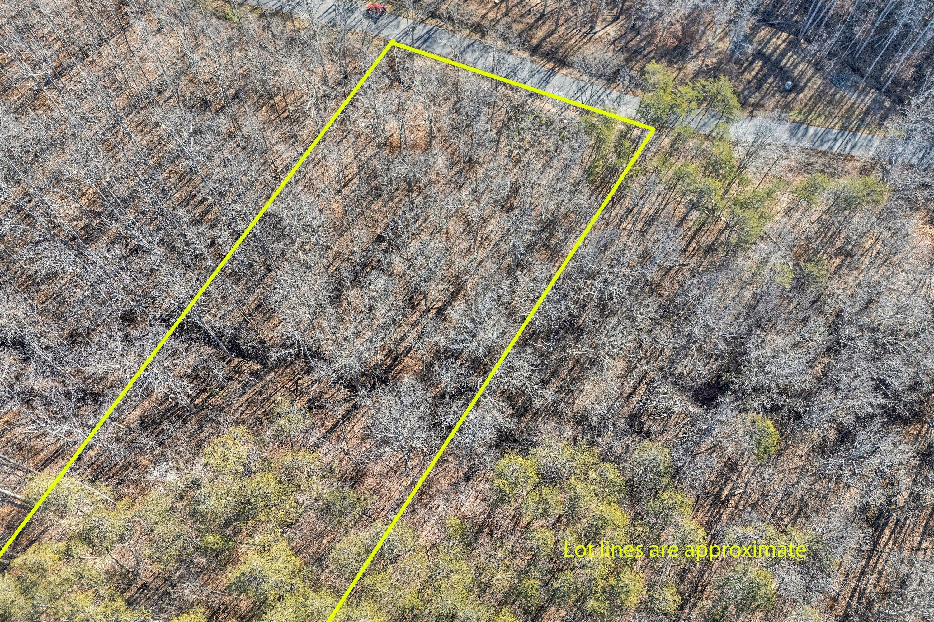 Image 3: DJI_20260113103340_0019-Edit