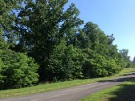 Lot 94 Jacobs Hollow