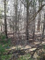 Lot 4 Lake Park DR