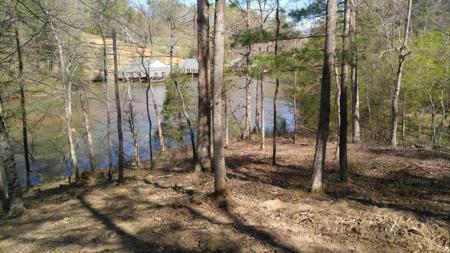 Lot 42 Lakewatch CIR