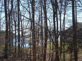 Lot 1 Heather LN
