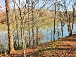 Lot 2 MOREWOOD RD