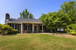 81 Sterlling CIR