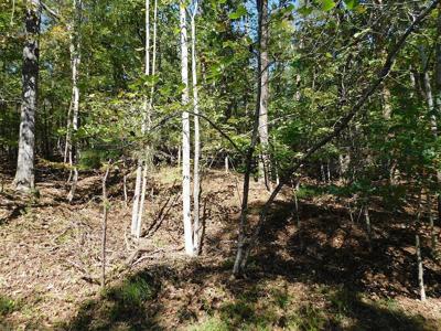 Lot 24 Cedar Bluff LN