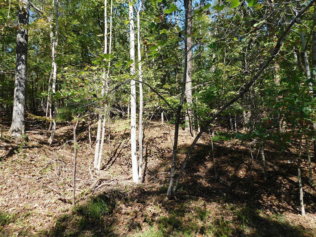 Image 1: Lot 24 Cedar Bluff Ln