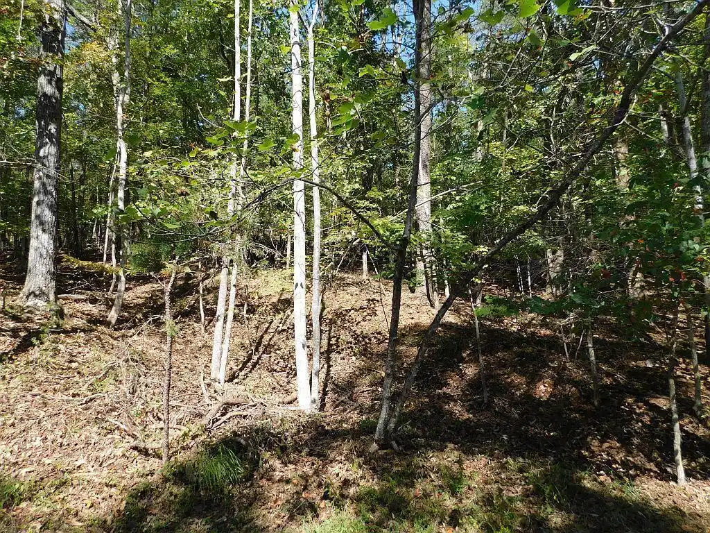 Image 1: Lot 24 Cedar Bluff Ln