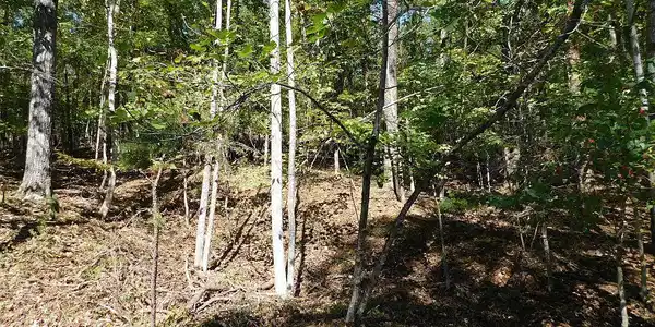 Lot 24 Cedar Bluff LN