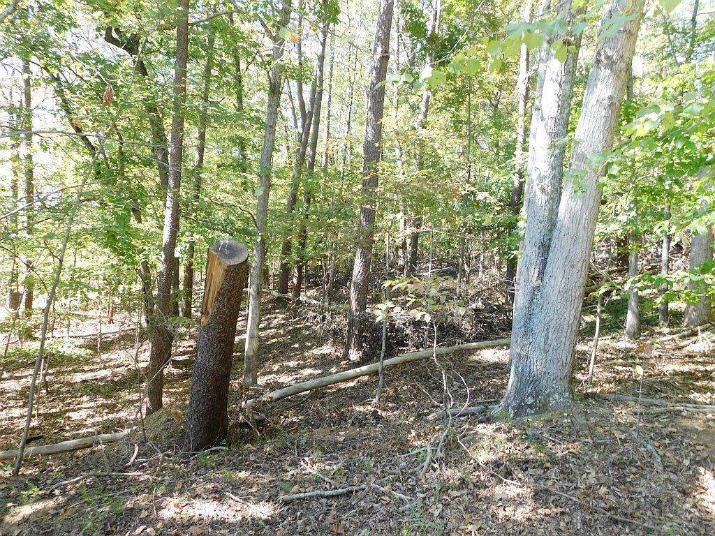 Image 4: Pic #3