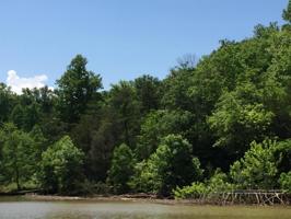LOT 61 STILLWATER LN