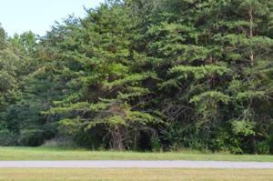 LOT 93 HIGH POINT RD