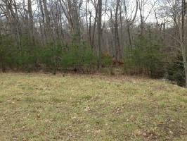 Lot 40 Sassafras CT