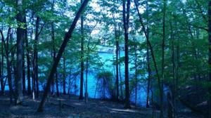 Lot 28 Buck Run DR
