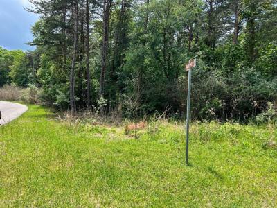 Lot 47 Gap Bridge RD
