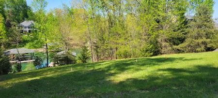 Lot 478 South View CIR