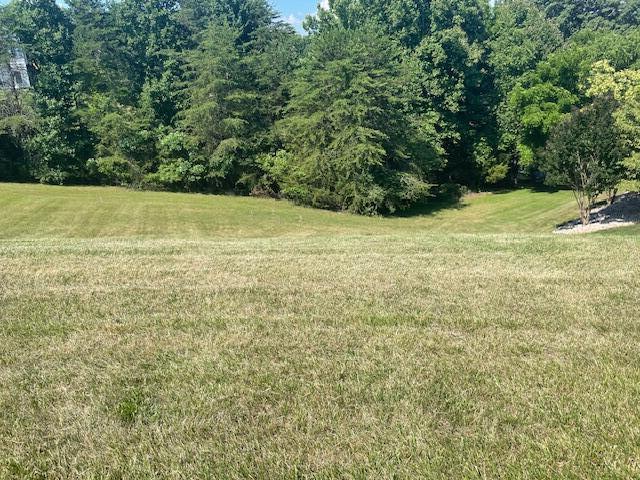 Image 1: IMG_1018