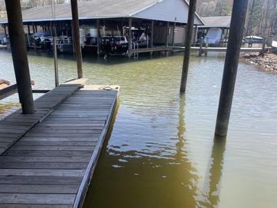 254 Mallard Point RD