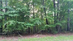 Lot 1 Mallard Point RD