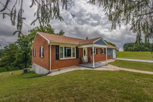 39 Loblolly LN