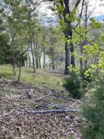 Lot #140, 141, 142 DIXON DR