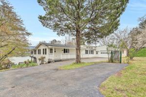 318 Pine DR