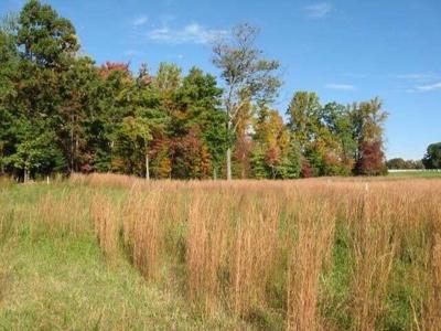 Lot 25 Farm DR