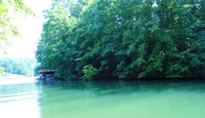 LOT 1 S POINTE SHORE DR