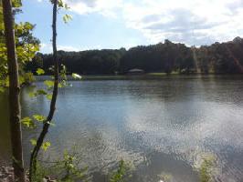 Lot 14 Sassafras CT