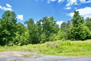Lot 2 Blue Heron DR