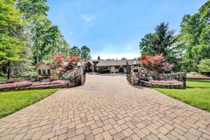 555 Silver Tee DR