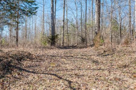 Lot 10 Periwinkle RD