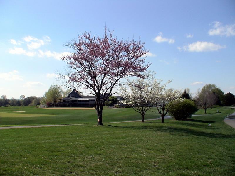 Image 4: Clubhouse & Golf Course