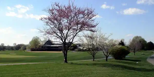 Image 4: Clubhouse & Golf Course