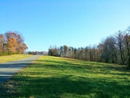 Lot 20 SASSAFRAS CT