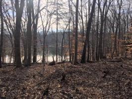 Lot 19A Dodee LN