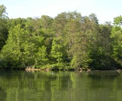 Lot 1 Stripers Cove RD